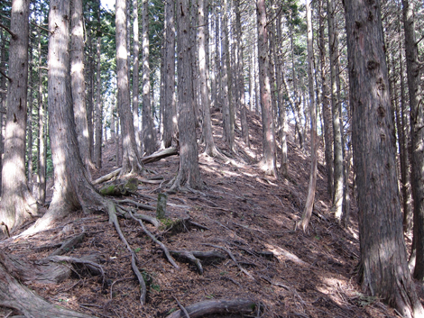 20190205hike (106)